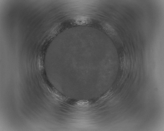 X0000062630606200512281557