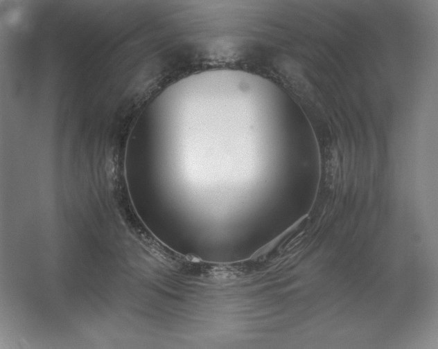 X0000062630608200512281557