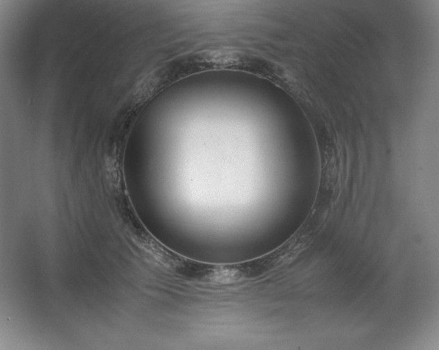 X0000062630609200512281557