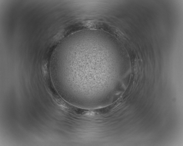 X0000062630611200512281557