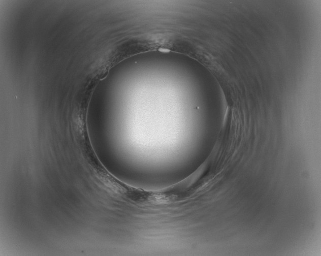 X0000062630613200512281557