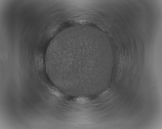 X0000062630615200512281557