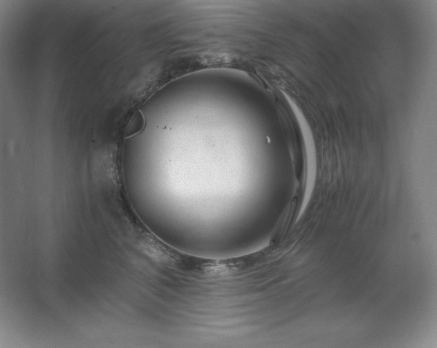 X0000062630616200512281557