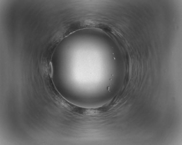 X0000062630617200512281557