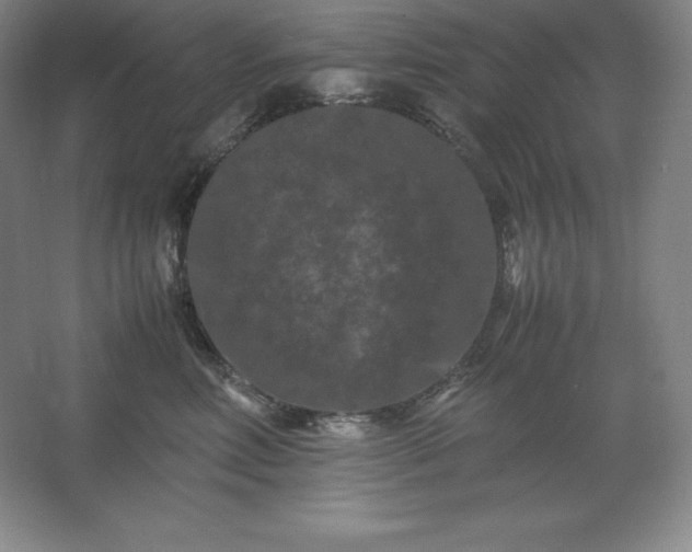 X0000062630618200512281557