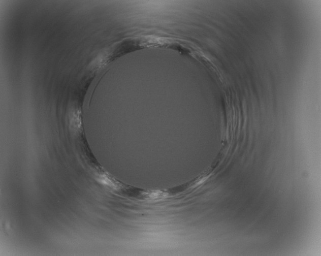 X0000062630621200512281557