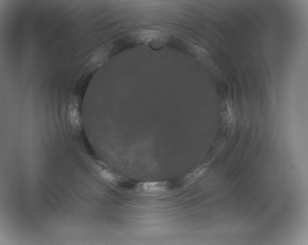 X0000062630622200512281557