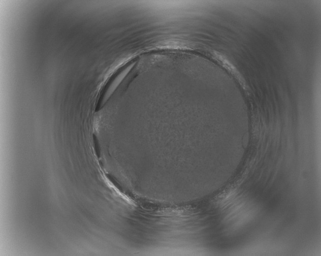 X0000062630625200512281556