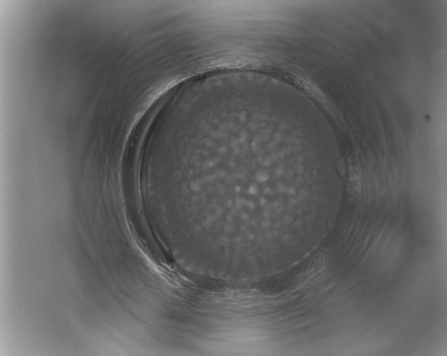 X0000062630626200512281556