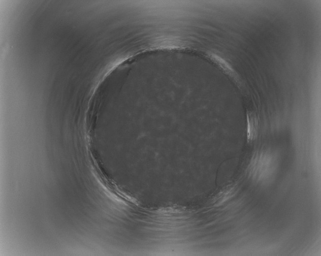 X0000062630627200512281556