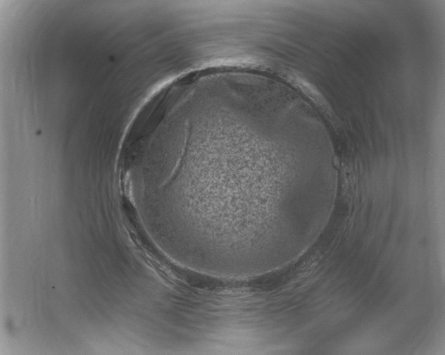 X0000062630628200512281556