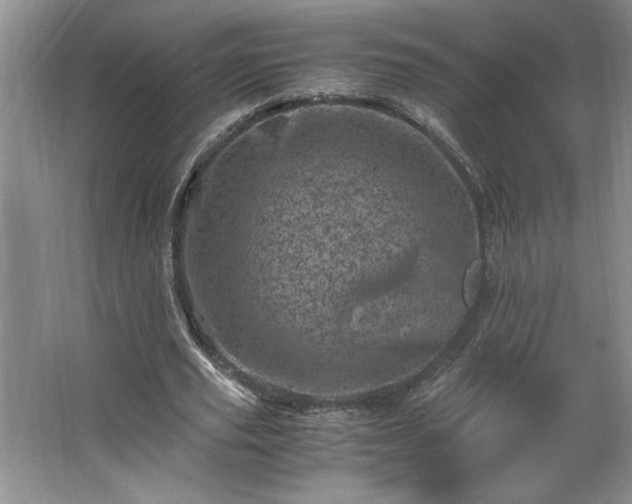 X0000062630629200512281556