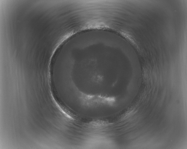 X0000062630630200512281556