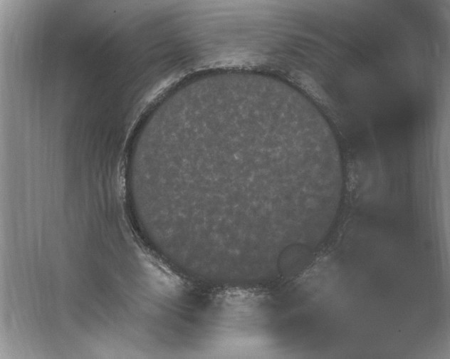 X0000062630632200512281556