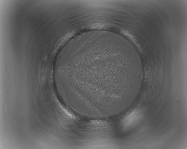 X0000062630633200512281556