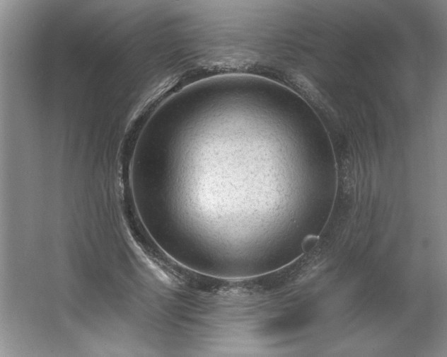 X0000062630634200512281556