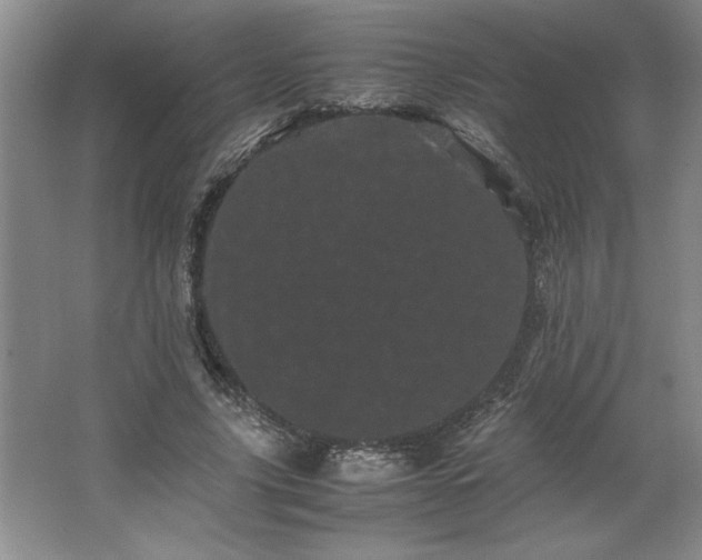 X0000062630635200512281556