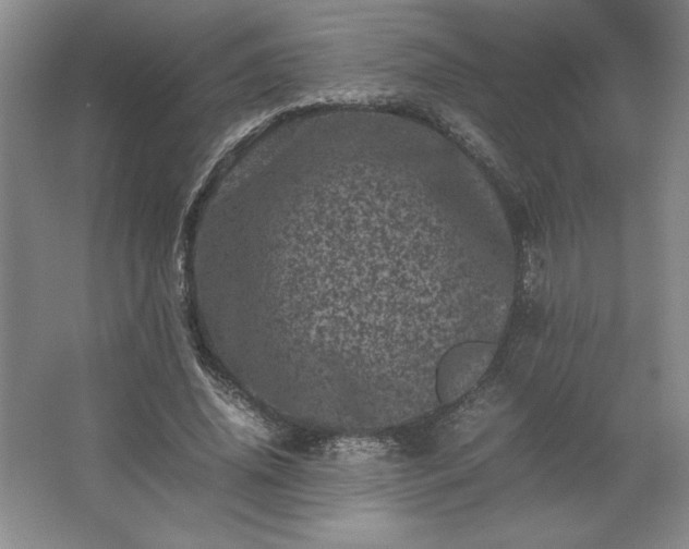 X0000062630636200512281556