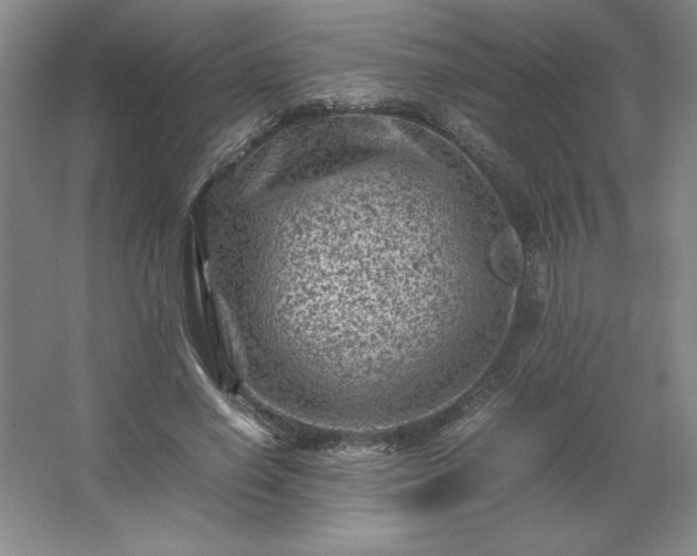 X0000062630638200512281556