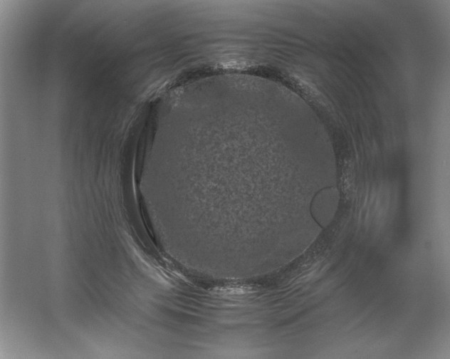 X0000062630639200512281556