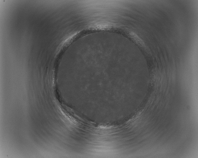 X0000062630640200512281556