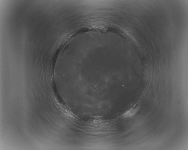 X0000062630641200512281556