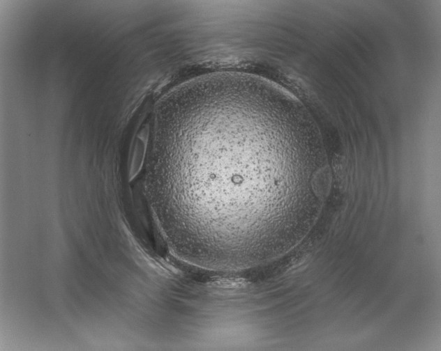 X0000062630642200512281556