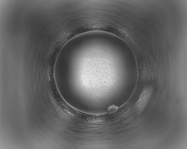 X0000062630643200512281556