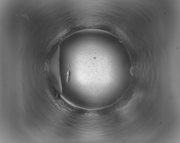 X0000062630644200512281556