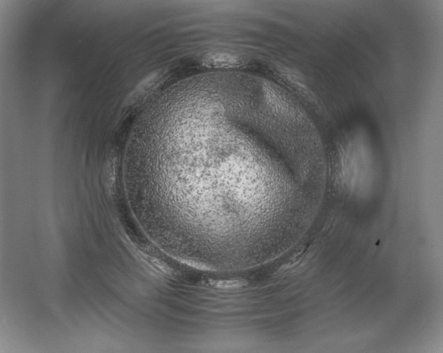 X0000062630645200512281556