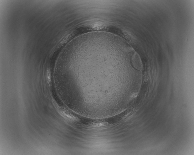 X0000062630646200512281556