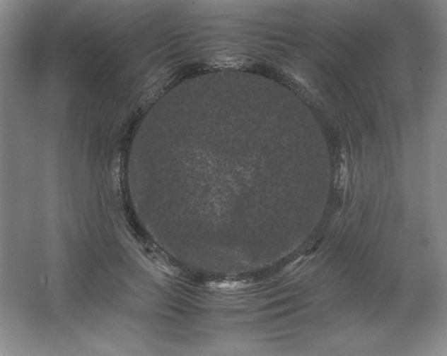 X0000062630647200512281556