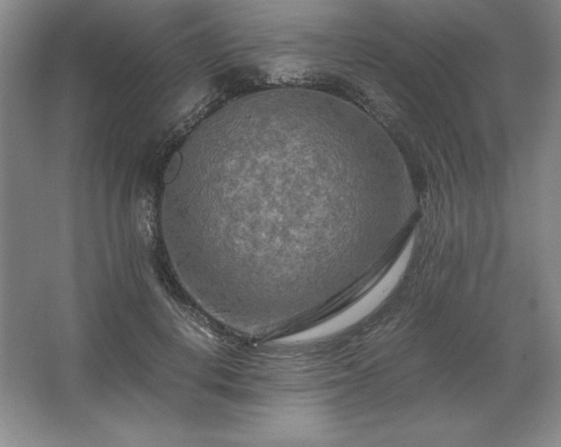 X0000062630648200512281556