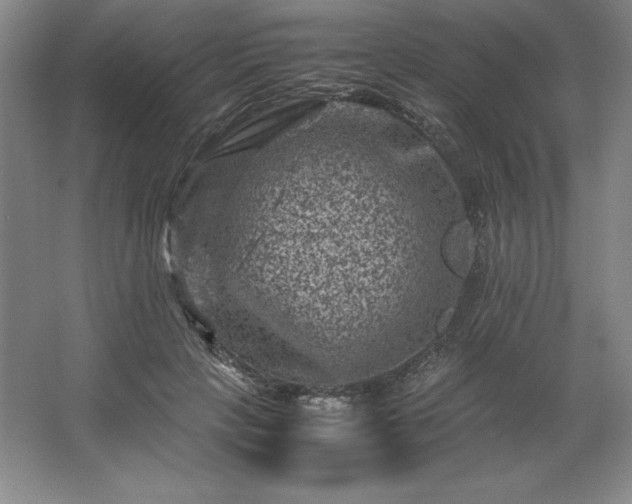 X0000062630649200512281556