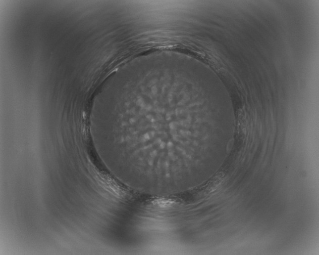 X0000062630650200512281556