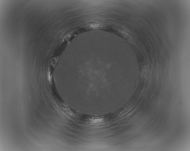 X0000062630651200512281556