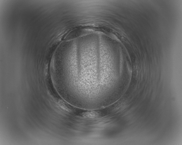 X0000062630652200512281556