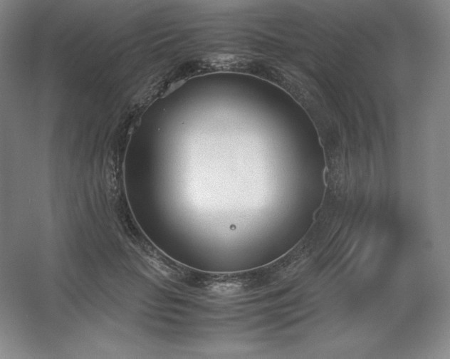 X0000062630653200512281556