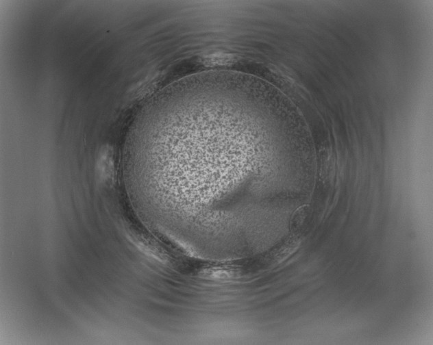 X0000062630655200512281556