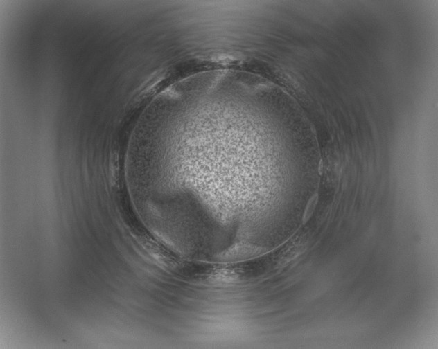 X0000062630656200512281556