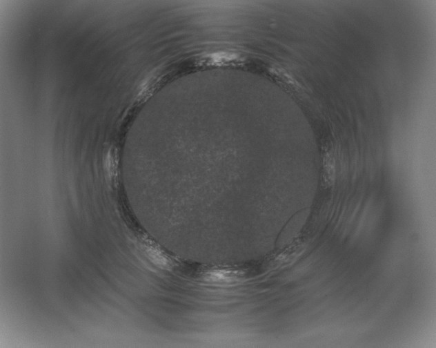 X0000062630657200512281556