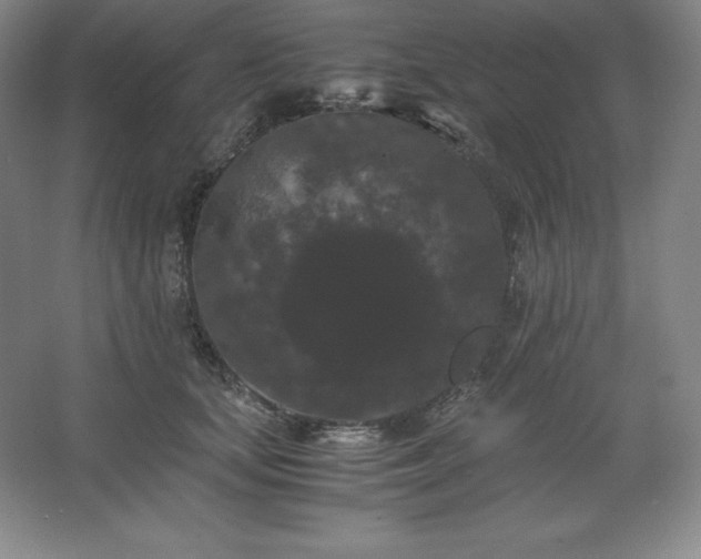 X0000062630659200512281556