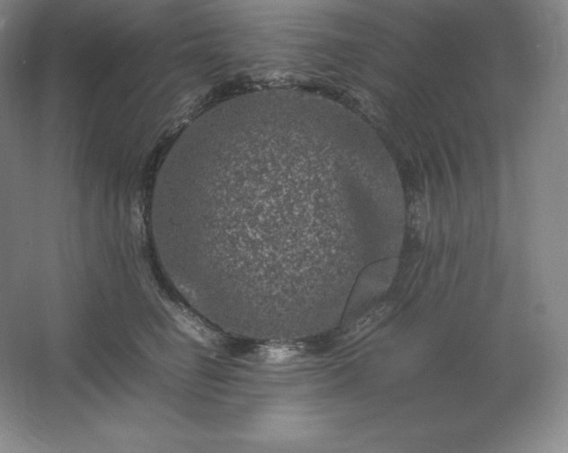 X0000062630662200512281557