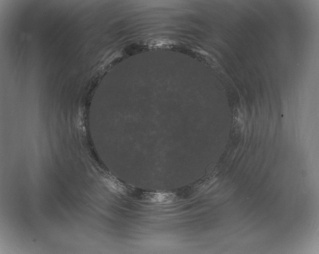 X0000062630663200512281557