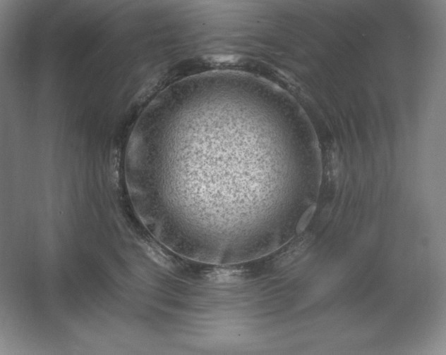 X0000062630664200512281557