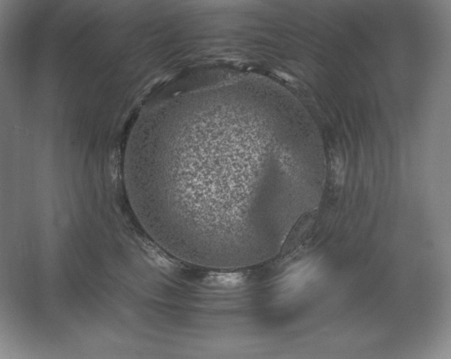 X0000062630665200512281557