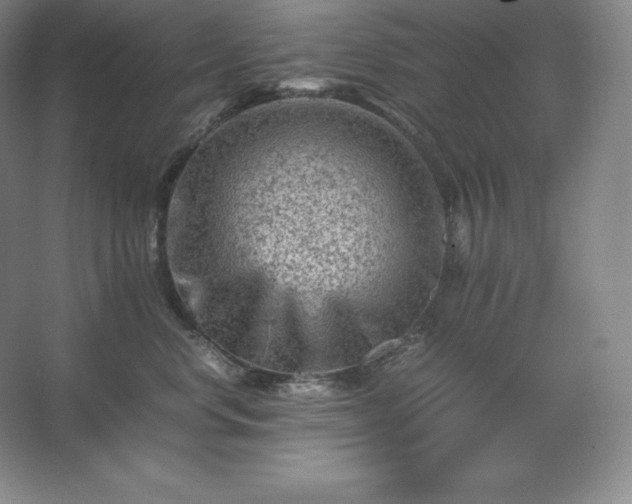 X0000062630668200512281557