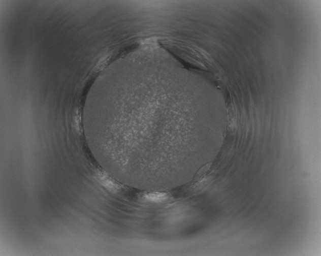 X0000062630669200512281557