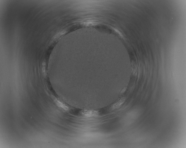 X0000062630670200512281557