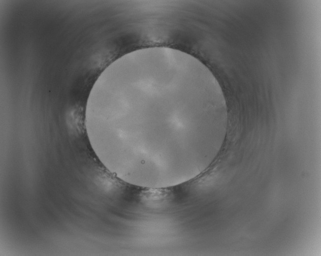 X0000062630672200512281557